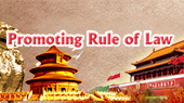 Promoting Rule of Law