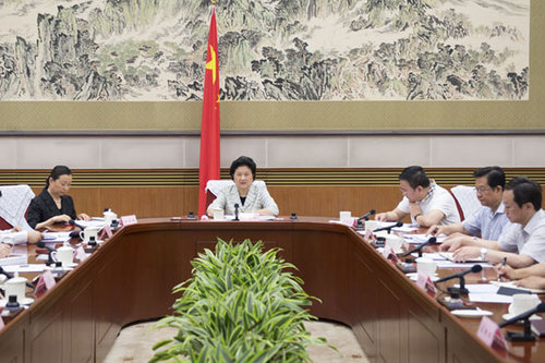 Chinese Vice-Premier Calls for Better Healthcare for Women, Children
