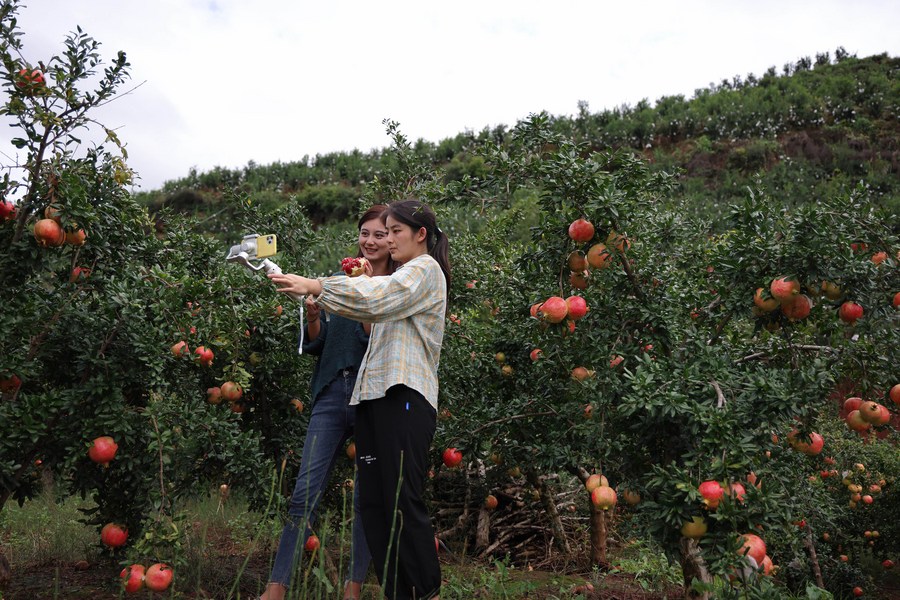 Sichuan Sisters Sell Local Agricultural Products on E-Commerce Platform