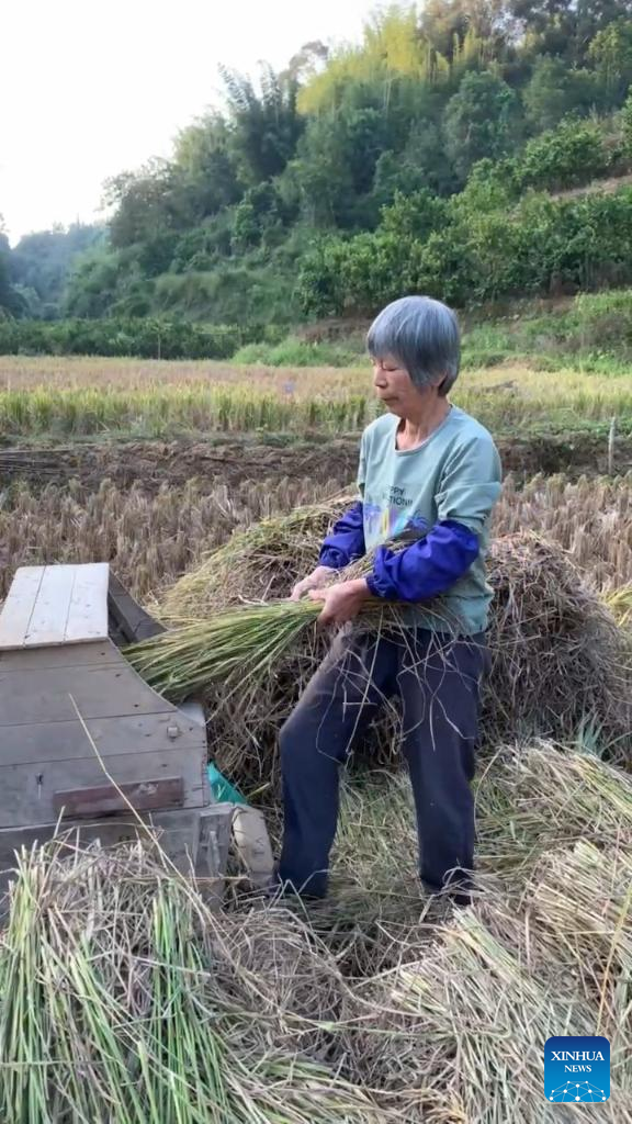 Across China: Never Too Late! 66-Year-Old Farmer Becomes Online Sensation as Skilled Drummer