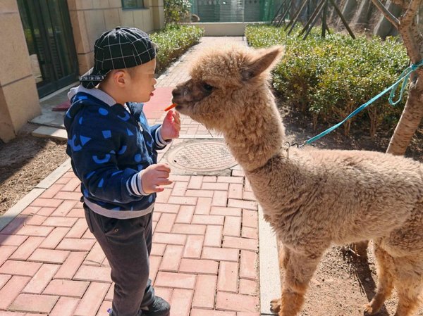 'Small Zoo' in Qingdao Welfare House Brightens Children's Life