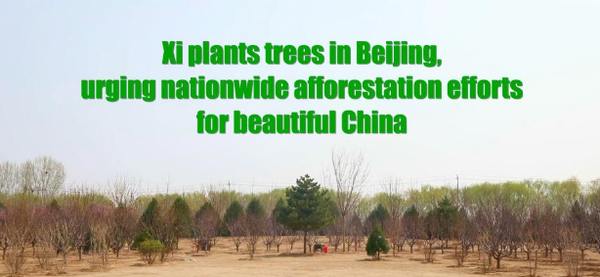 Xi Plants Trees in Beijing, Urging Nationwide Afforestation Efforts for Beautiful China