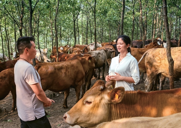 Rural Entrepreneur Helps Farmers Attain Wealth by Raising Cattle