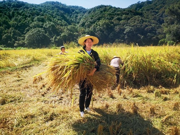 'New Farmer' Promotes Hometown's Agricultural Development