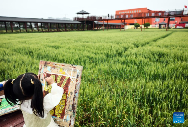 Nanhu District Develops Industries to Boost Rural Revitalization in Jiaxing City, E China's Zhejiang