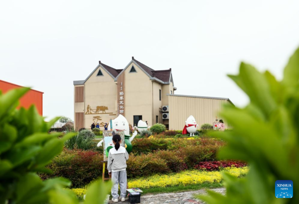 Nanhu District Develops Industries to Boost Rural Revitalization in Jiaxing City, E China's Zhejiang