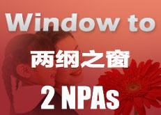 Windows to 2 NPAs