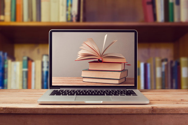 455 mln Chinese Read Online Literature in 2019