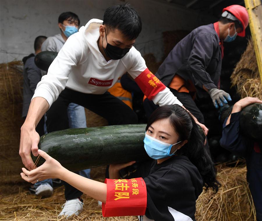 Females Working at Their Posts to Contribute to Fight Against COVID-19