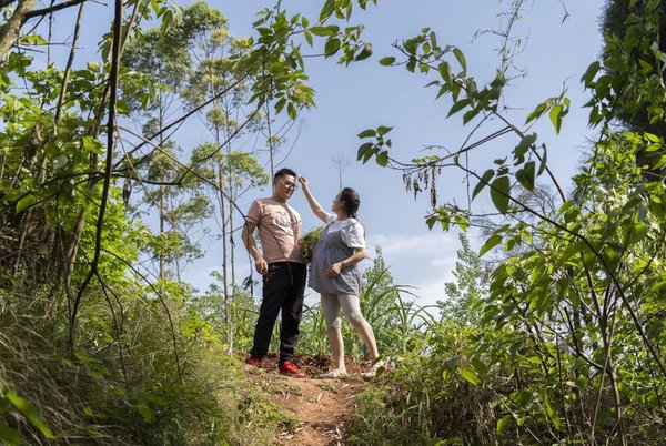 Countryside Life Seen Through Lens of 'Internet Celebrity' Couple