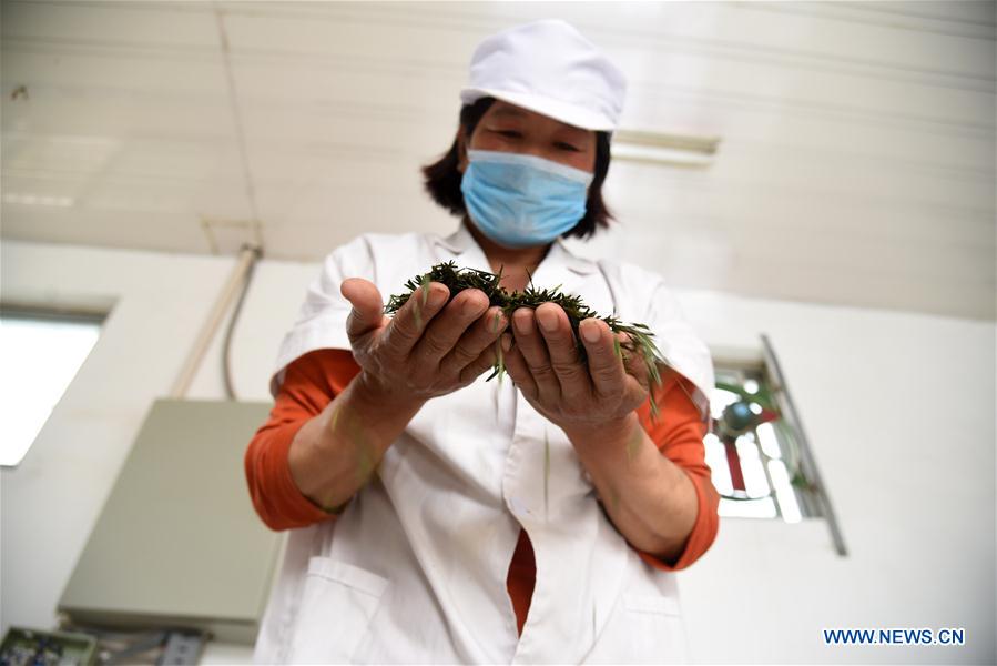 Woman's Living Conditions Begin to Improve After Joining Poverty Alleviation Project in Shandong