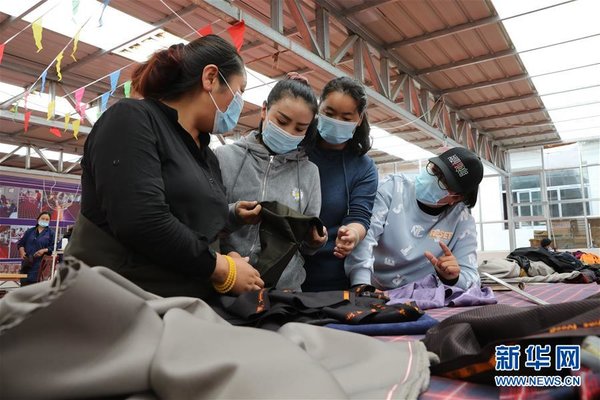 Grassroots Official Helps Lift Tibetan Herdsmen out of Poverty