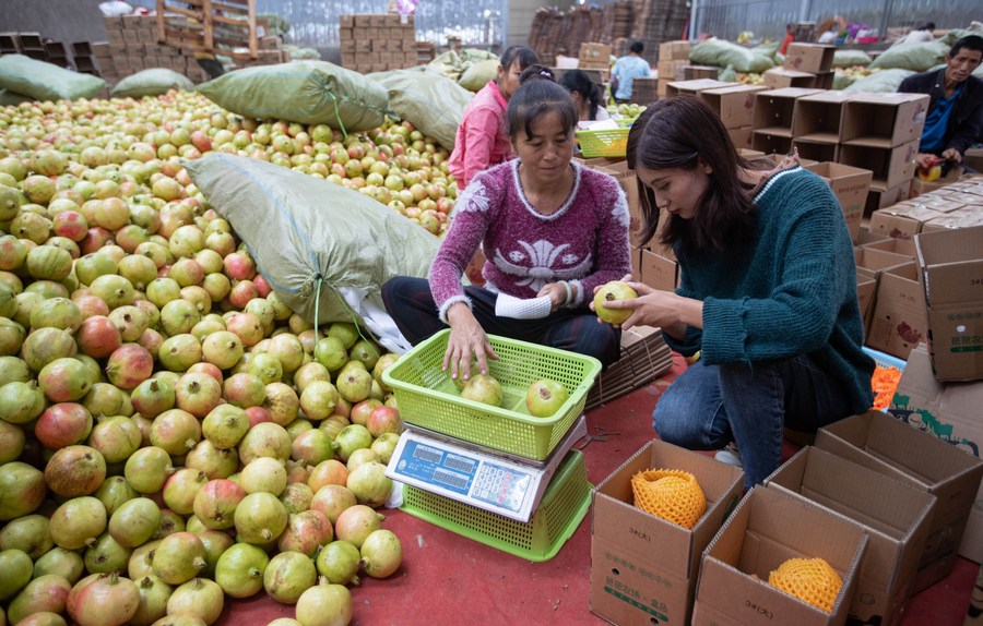 Sichuan Sisters Sell Local Agricultural Products on E-Commerce Platform