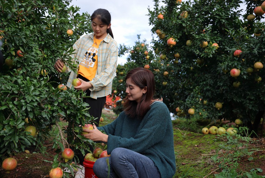 Sichuan Sisters Sell Local Agricultural Products on E-Commerce Platform