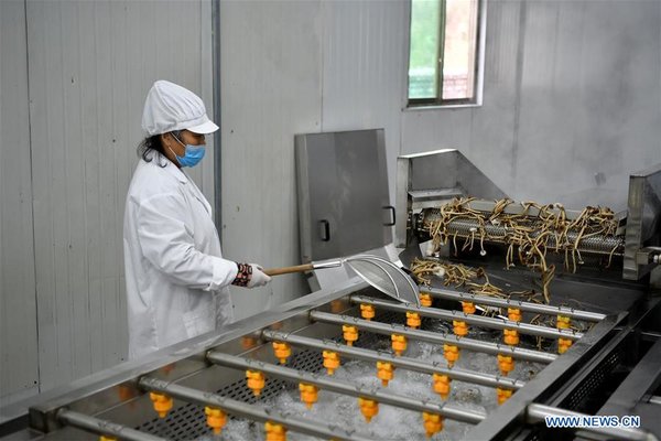 CHINA-JIANGXI-GANZHOU-AGRICULTURE-MUSHROOM (CN)