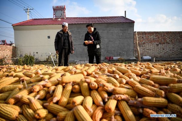 'She Power' Plays Indispensable Role in Anti-Poverty Efforts in Xihaigu, Ningxia