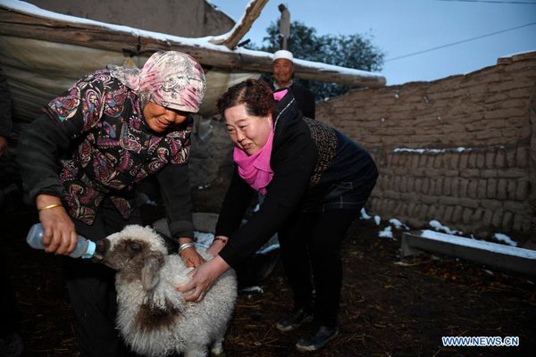 'She Power' Plays Indispensable Role in Anti-Poverty Efforts in Xihaigu, Ningxia