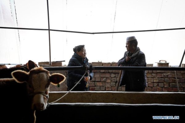 'She Power' Plays Indispensable Role in Anti-Poverty Efforts in Xihaigu, Ningxia