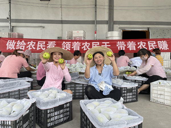 Young E-Commerce Entrepreneurs in E China's Anhui Province Help Local Fruit Growers Sell Products