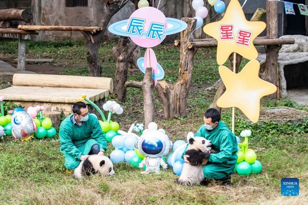 Chongqing Zoo Holds Naming Ceremony for Giant Panda Twins