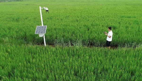 China Employs Digital Technology for Rural Vitalization