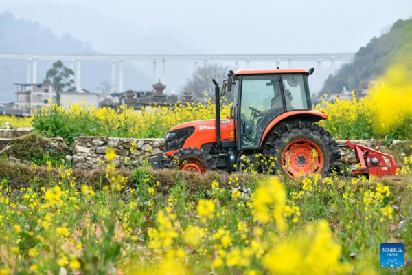 Farmers Across Guizhou Busy with Spring Agricultural Production