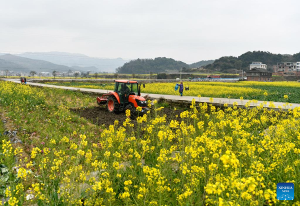 Farmers Across Guizhou Busy with Spring Agricultural Production