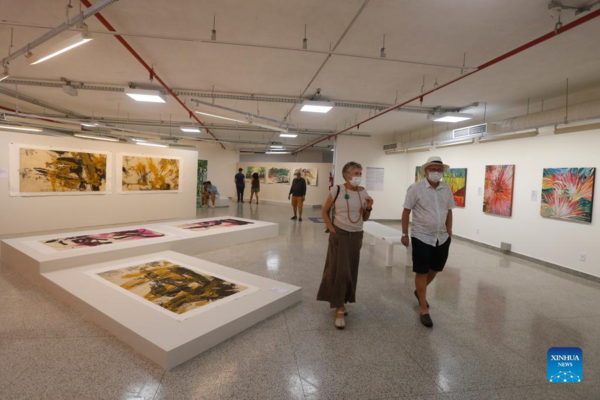 People Visit Exhibition Featuring Chinese and Brazilian Art in Brazil