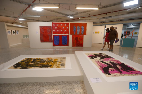 People Visit Exhibition Featuring Chinese and Brazilian Art in Brazil