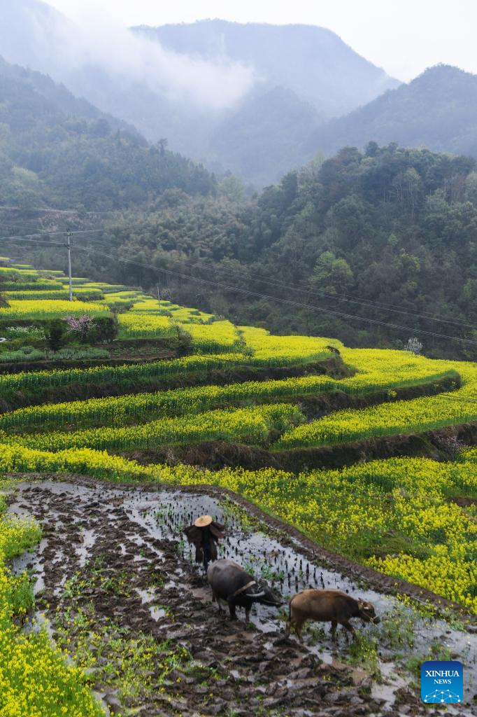 People Celebrate Traditional Flower Festival in East China