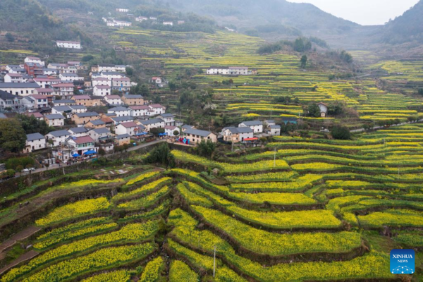 People Celebrate Traditional Flower Festival in East China