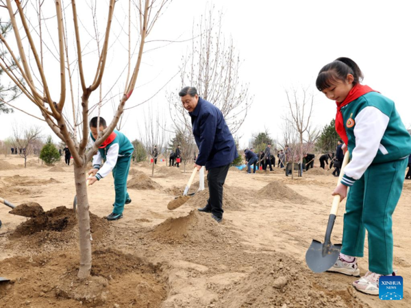 Xi Focus: Xi Plants Trees for 10th Year as Top Leader