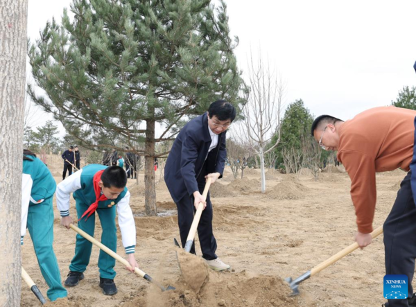 Xi Focus: Xi Plants Trees for 10th Year as Top Leader