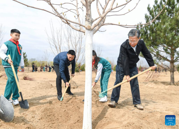 Xi Focus: Xi Plants Trees for 10th Year as Top Leader