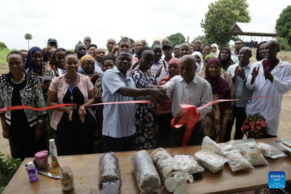 Feature: Chinese Juncao Technology Spells Bright Future for Tanzania's Mushroom Growers