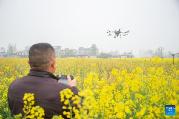 Farms a Hive of Activity Across China