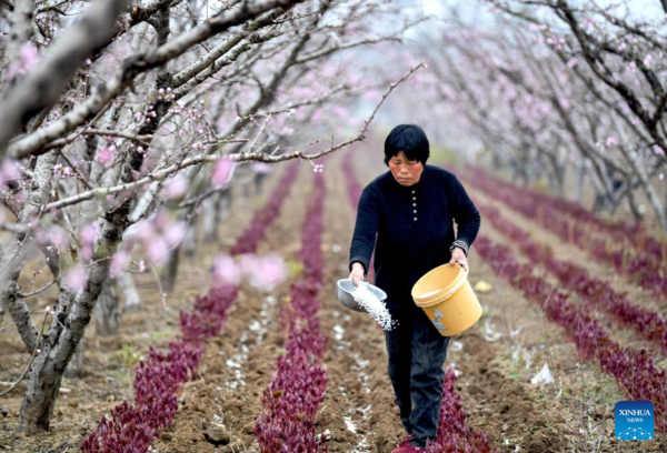 Farms a Hive of Activity Across China