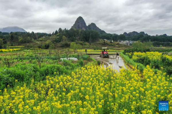 Farms a Hive of Activity Across China