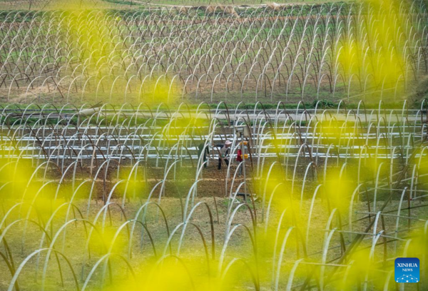 Farms a Hive of Activity Across China