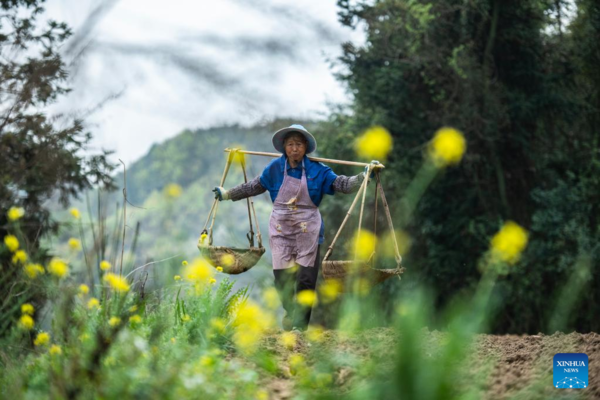 Farms a Hive of Activity Across China