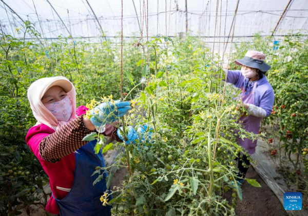 Farms a Hive of Activity Across China