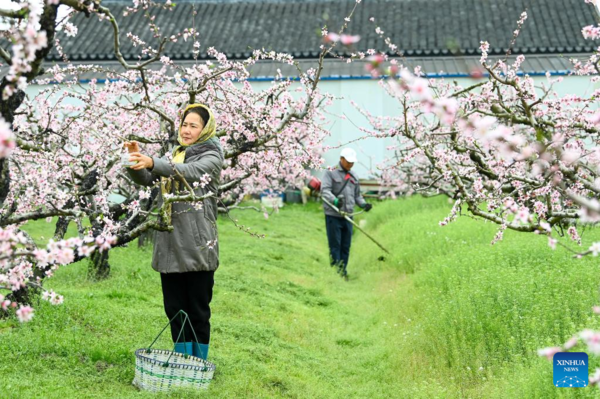 Farms a Hive of Activity Across China