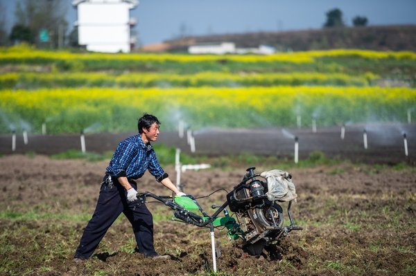 Xi Story: Lifeline of Prosperity: Farmland Protection