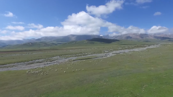 Qinghai Lake, an Inspiring Story of Bio-Conservation | Stories Shared by Xi Jinping