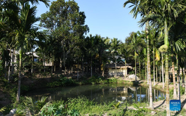 Hainan's Maona Village Promotes Rural Tourism to Increase Locals' Incomes, Expedite Rural Revitalization