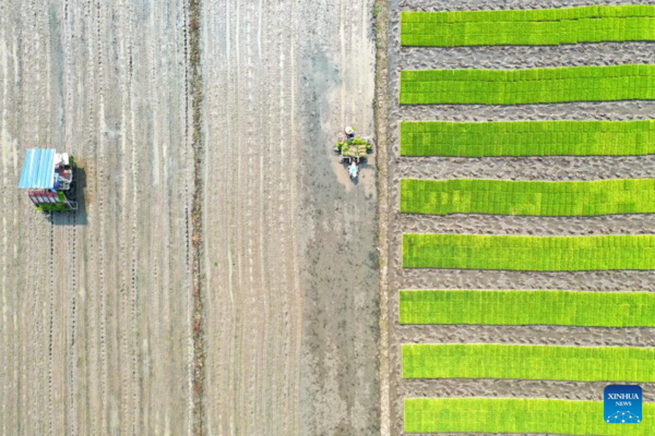 Spring Farming Across China