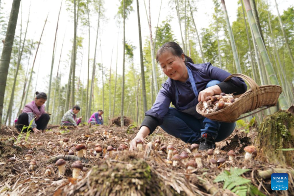 Spring Farming Across China