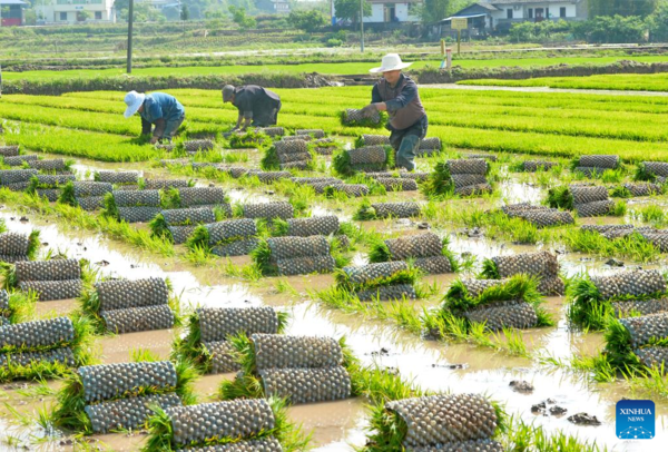 Spring Farming Across China