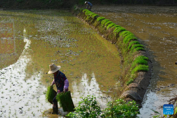 Spring Farming Across China