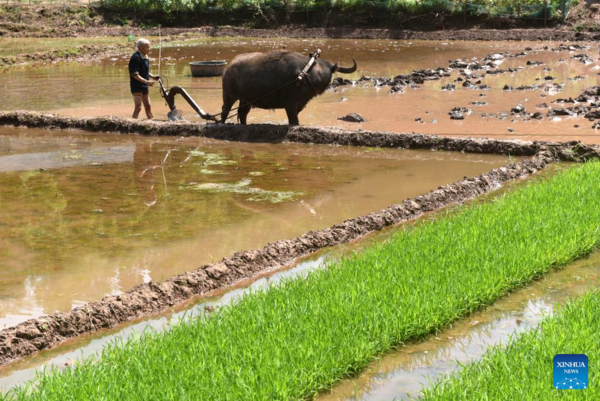 Spring Farming Across China